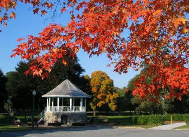 Photo showing Andover Bandstand in background, framed by leaves of tree in foreground. Leves have changed to Autumn colors.